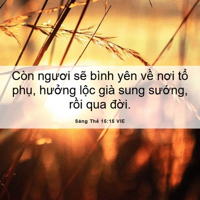 Picture 06 - Sáng Thế 15:15 VIE - Còn ngươi sẽ bình yên về nơi tổ - Bible Verse Picture