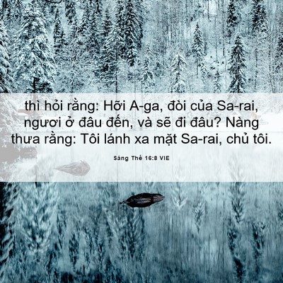 Picture 06 - Sáng Thế 16:8 VIE - thì hỏi rằng: Hỡi A-ga, đòi của - Bible Verse Picture