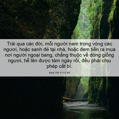 Picture 06 - Sáng Thế 17:12 VIE - Trải qua các đời, mỗi người nam trong - Bible Verse Picture