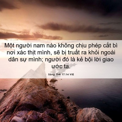 Picture 06 - Sáng Thế 17:14 VIE - Một người nam nào không chịu phép cắt - Bible Verse Picture