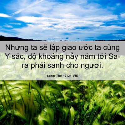 Picture 06 - Sáng Thế 17:21 VIE - Nhưng ta sẽ lập giao ước ta cùng Y-sác, - Bible Verse Picture