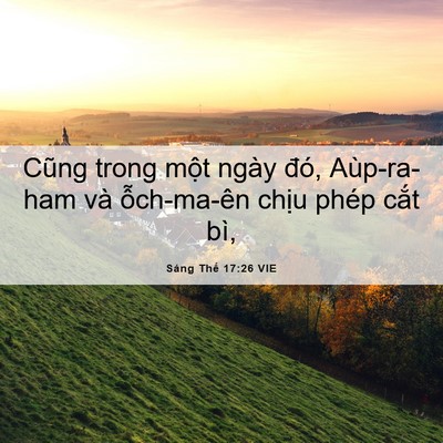 Picture 06 - Sáng Thế 17:26 VIE - Cũng trong một ngày đó, Aùp-ra-ham và - Bible Verse Picture