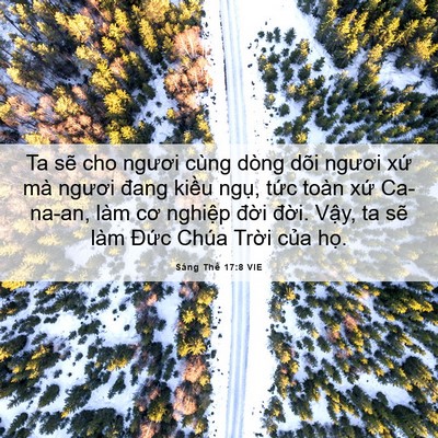 Picture 06 - Sáng Thế 17:8 VIE - Ta sẽ cho ngươi cùng dòng dõi ngươi xứ - Bible Verse Picture