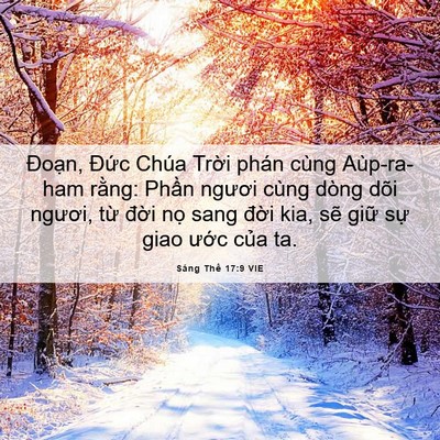 Picture 06 - Sáng Thế 17:9 VIE - Đoạn, Đức Chúa Trời phán cùng - Bible Verse Picture
