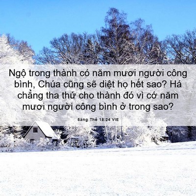 Picture 06 - Sáng Thế 18:24 VIE - Ngộ trong thành có năm mươi người công - Bible Verse Picture