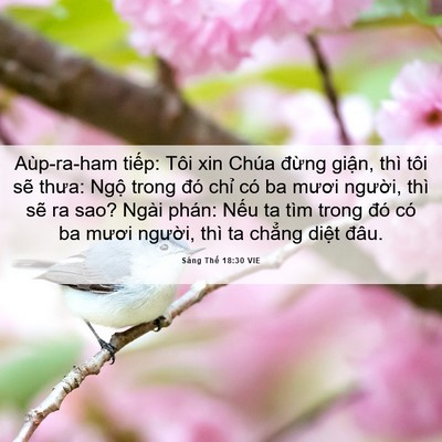 Picture 06 - Sáng Thế 18:30 VIE - Aùp-ra-ham tiếp: Tôi xin Chúa đừng - Bible Verse Picture