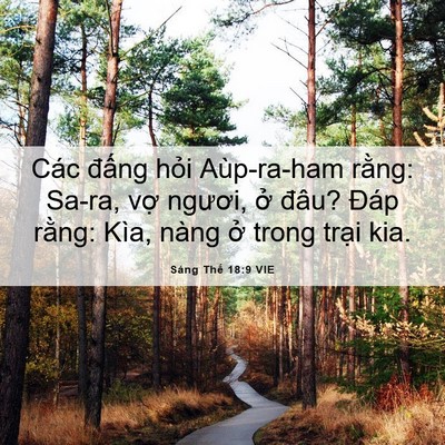 Picture 06 - Sáng Thế 18:9 VIE - Các đấng hỏi Aùp-ra-ham rằng: Sa-ra, - Bible Verse Picture