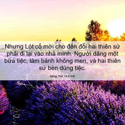 Picture 06 - Sáng Thế 19:3 VIE - Nhưng Lót cố mời cho đến đỗi hai - Bible Verse Picture