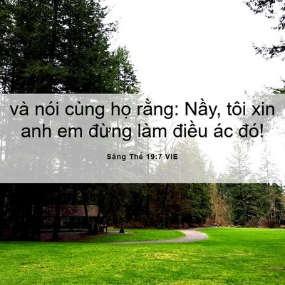 Picture 06 - Sáng Thế 19:7 VIE - và nói cùng họ rằng: Nầy, tôi xin anh - Bible Verse Picture