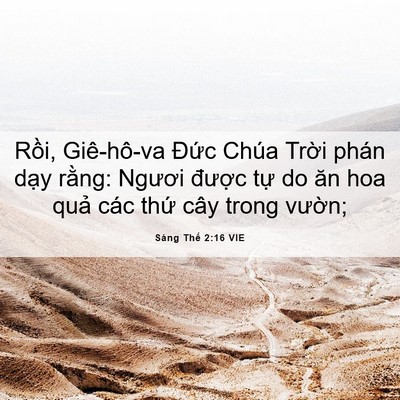 Picture 06 - Sáng Thế 2:16 VIE - Rồi, Giê-hô-va Đức Chúa Trời phán - Bible Verse Picture