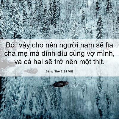 Picture 06 - Sáng Thế 2:24 VIE - Bởi vậy cho nên người nam sẽ lìa cha - Bible Verse Picture