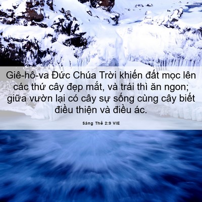 Picture 06 - Sáng Thế 2:9 VIE - Giê-hô-va Đức Chúa Trời khiến đất - Bible Verse Picture