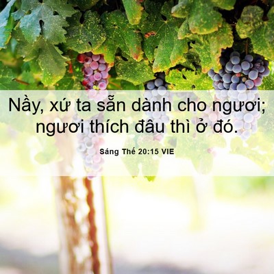 Picture 06 - Sáng Thế 20:15 VIE - Nầy, xứ ta sẵn dành cho ngươi; ngươi - Bible Verse Picture