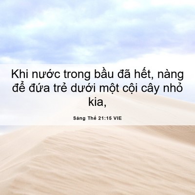 Picture 06 - Sáng Thế 21:15 VIE - Khi nước trong bầu đã hết, nàng để - Bible Verse Picture