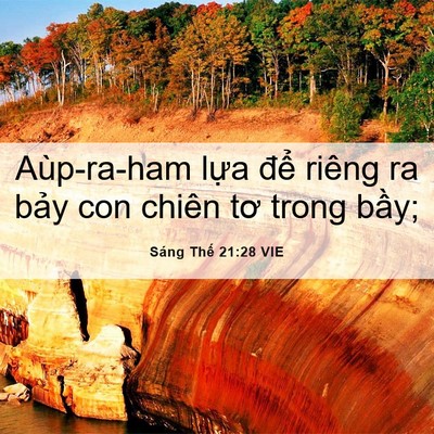 Picture 06 - Sáng Thế 21:28 VIE - Aùp-ra-ham lựa để riêng ra bảy con - Bible Verse Picture