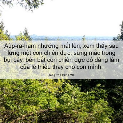 Picture 06 - Sáng Thế 22:13 VIE - Aùp-ra-ham nhướng mắt lên, xem thấy sau - Bible Verse Picture