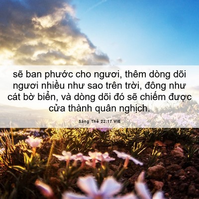 Picture 06 - Sáng Thế 22:17 VIE - sẽ ban phước cho ngươi, thêm dòng dõi - Bible Verse Picture