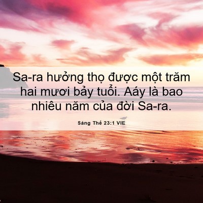 Picture 06 - Sáng Thế 23:1 VIE - Sa-ra hưởng thọ được một trăm hai - Bible Verse Picture