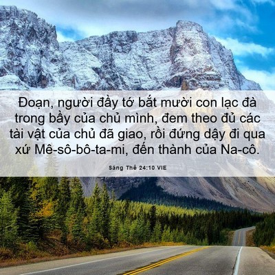 Picture 06 - Sáng Thế 24:10 VIE - Đoạn, người đầy tớ bắt mười con - Bible Verse Picture