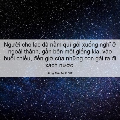 Picture 06 - Sáng Thế 24:11 VIE - Người cho lạc đà nằm quì gối xuống - Bible Verse Picture