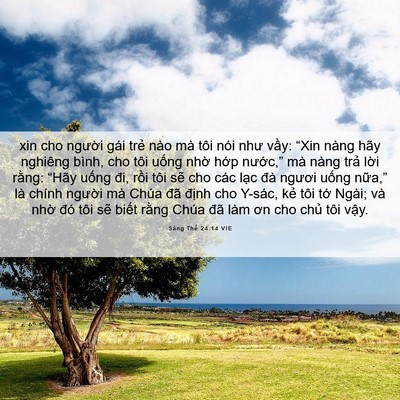 Picture 06 - Sáng Thế 24:14 VIE - xin cho người gái trẻ nào mà tôi nói - Bible Verse Picture