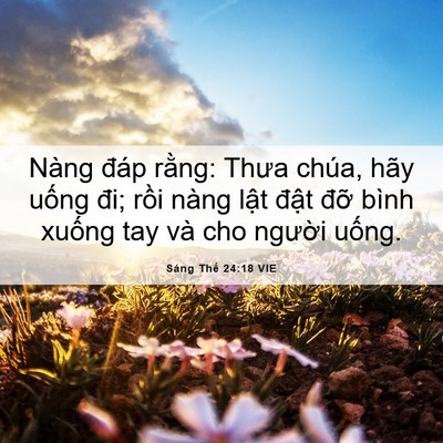 Picture 06 - Sáng Thế 24:18 VIE - Nàng đáp rằng: Thưa chúa, hãy uống đi; - Bible Verse Picture