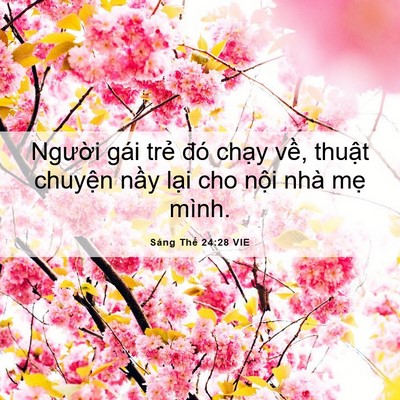 Picture 06 - Sáng Thế 24:28 VIE - Người gái trẻ đó chạy về, thuật - Bible Verse Picture