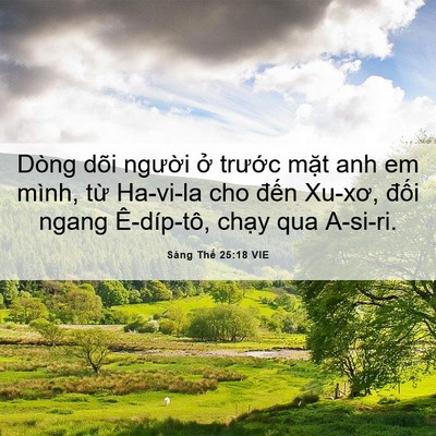Picture 06 - Sáng Thế 25:18 VIE - Dòng dõi người ở trước mặt anh em - Bible Verse Picture