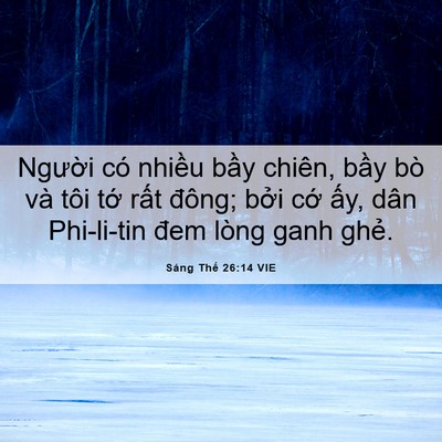 Picture 06 - Sáng Thế 26:14 VIE - Người có nhiều bầy chiên, bầy bò và - Bible Verse Picture