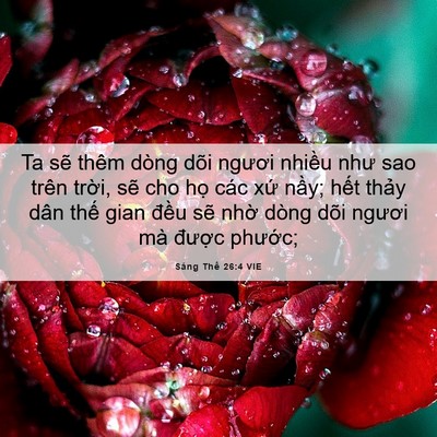 Picture 06 - Sáng Thế 26:4 VIE - Ta sẽ thêm dòng dõi ngươi nhiều như sao - Bible Verse Picture