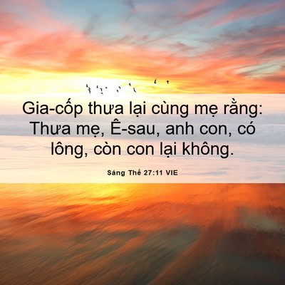 Picture 06 - Sáng Thế 27:11 VIE - Gia-cốp thưa lại cùng mẹ rằng: Thưa - Bible Verse Picture