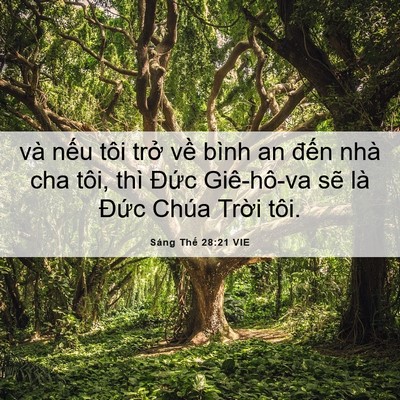 Picture 06 - Sáng Thế 28:21 VIE - và nếu tôi trở về bình an đến nhà - Bible Verse Picture