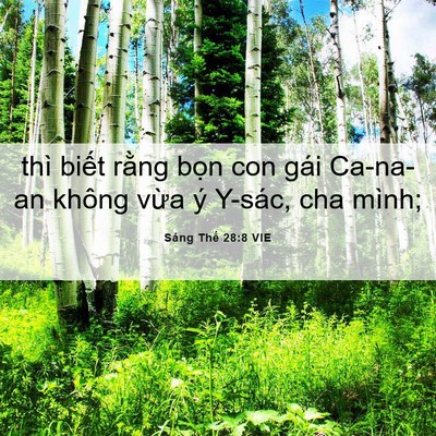 Picture 06 - Sáng Thế 28:8 VIE - thì biết rằng bọn con gái Ca-na-an không - Bible Verse Picture