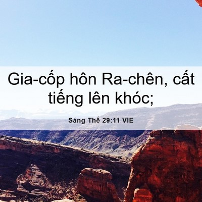 Picture 06 - Sáng Thế 29:11 VIE - Gia-cốp hôn Ra-chên, cất tiếng lên - Bible Verse Picture