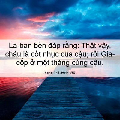 Picture 06 - Sáng Thế 29:14 VIE - La-ban bèn đáp rằng: Thật vậy, cháu là - Bible Verse Picture