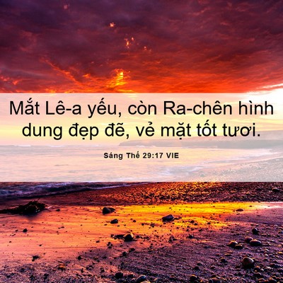 Picture 06 - Sáng Thế 29:17 VIE - Mắt Lê-a yếu, còn Ra-chên hình dung - Bible Verse Picture