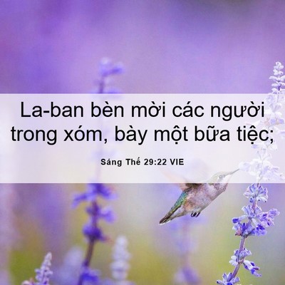 Picture 06 - Sáng Thế 29:22 VIE - La-ban bèn mời các người trong xóm, bày - Bible Verse Picture