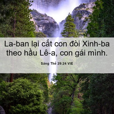 Picture 06 - Sáng Thế 29:24 VIE - La-ban lại cắt con đòi Xinh-ba theo hầu - Bible Verse Picture