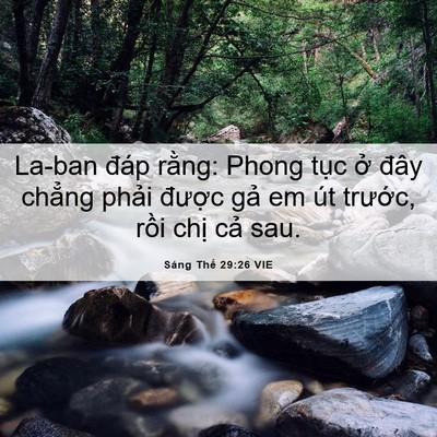 Picture 06 - Sáng Thế 29:26 VIE - La-ban đáp rằng: Phong tục ở đây - Bible Verse Picture