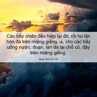 Picture 06 - Sáng Thế 29:3 VIE - Các bầy chiên đều hiệp lại đó, rồi - Bible Verse Picture