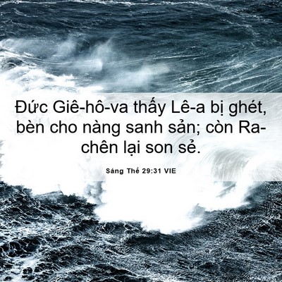 Picture 06 - Sáng Thế 29:31 VIE - Đức Giê-hô-va thấy Lê-a bị ghét, bèn - Bible Verse Picture