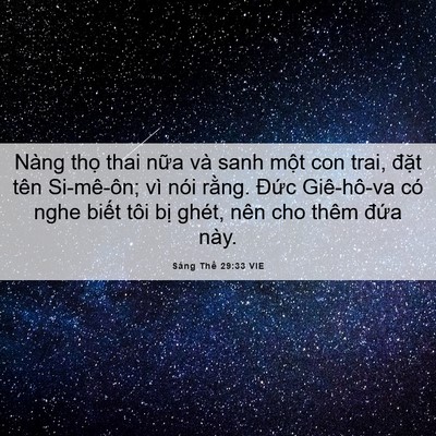 Picture 06 - Sáng Thế 29:33 VIE - Nàng thọ thai nữa và sanh một con trai, - Bible Verse Picture