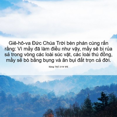 Picture 06 - Sáng Thế 3:14 VIE - Giê-hô-va Đức Chúa Trời bèn phán cùng - Bible Verse Picture