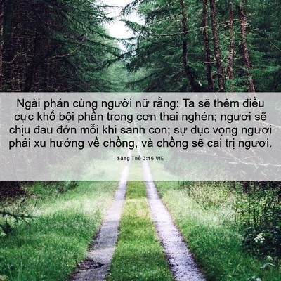 Picture 06 - Sáng Thế 3:16 VIE - Ngài phán cùng người nữ rằng: Ta sẽ - Bible Verse Picture