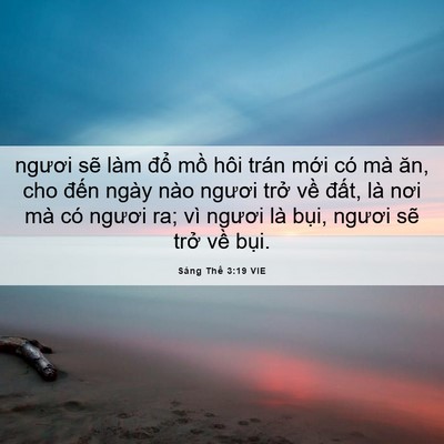 Picture 06 - Sáng Thế 3:19 VIE - ngươi sẽ làm đổ mồ hôi trán mới có - Bible Verse Picture