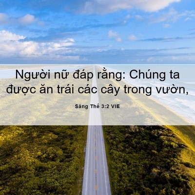 Picture 06 - Sáng Thế 3:2 VIE - Người nữ đáp rằng: Chúng ta được - Bible Verse Picture