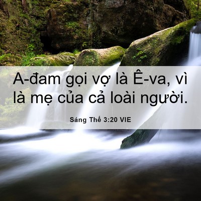 Picture 06 - Sáng Thế 3:20 VIE - A-đam gọi vợ là Ê-va, vì là mẹ của - Bible Verse Picture