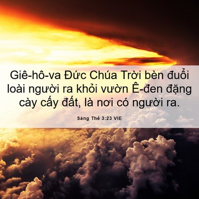 Picture 06 - Sáng Thế 3:23 VIE - Giê-hô-va Đức Chúa Trời bèn đuổi - Bible Verse Picture