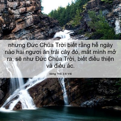 Picture 06 - Sáng Thế 3:5 VIE - nhưng Đức Chúa Trời biết rằng hễ - Bible Verse Picture