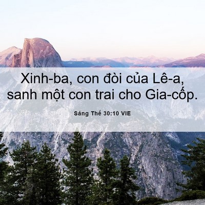 Picture 06 - Sáng Thế 30:10 VIE - Xinh-ba, con đòi của Lê-a, sanh một con - Bible Verse Picture